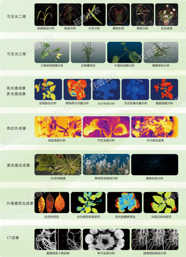 1748591719830673.png ͼƬ2.png