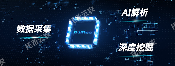 1748591769243080.png ͼƬ3.png