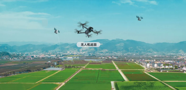 1749608576480206.png SEO2.png