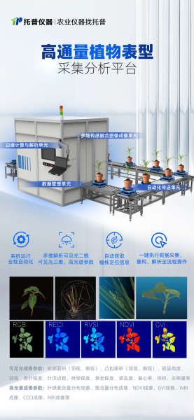 1750755536740405.png 2_¸±±¾.png