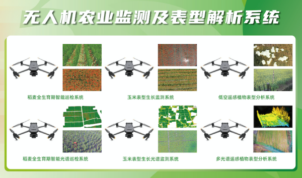 1750905728802924.png seo-3.png