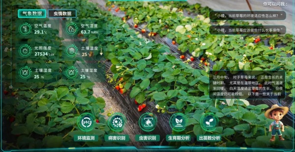 1751591066190398.jpg 4_¸±±¾.jpg