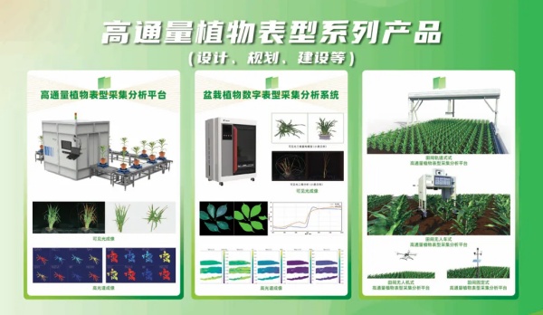 1751591166657569.jpg 8_¸±±¾.jpg