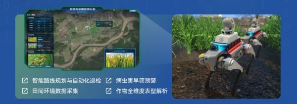 1751591909516673.jpg 5_¸±±¾.jpg