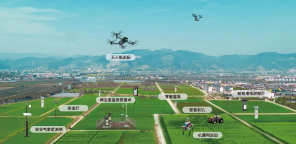 1754300783725095.png ͼƬ5_¸±±¾.png