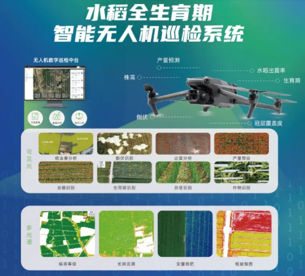 1754300814715514.png ͼƬ6_¸±±¾.png