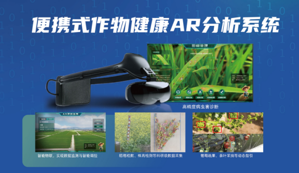 1754300844171084.png ͼƬ7_¸±±¾.png