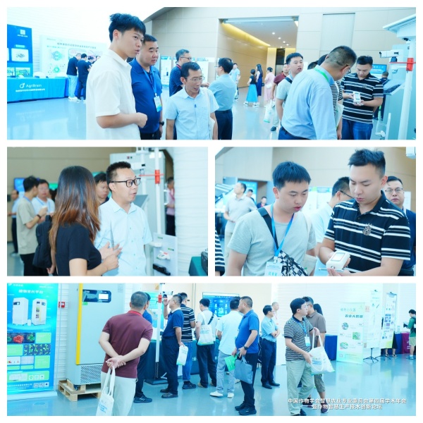 1755567934879585.jpg 1_¸±±¾.jpg