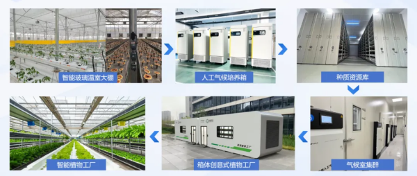 1755568154352694.png 6_¸±±¾.png