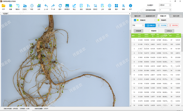 1757053167783464.png ´ó¶¹-¸ùÁöÆÊÎö2.png