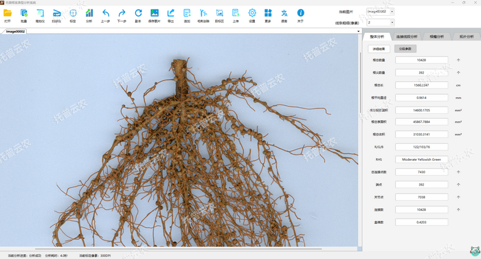 1757053250735676.png »¨Éú-ÕûÌåÆÊÎö.png