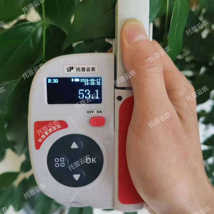 1757056306197216.jpg Ò¶ÂÌËØÏÔʾÆÁ.jpg