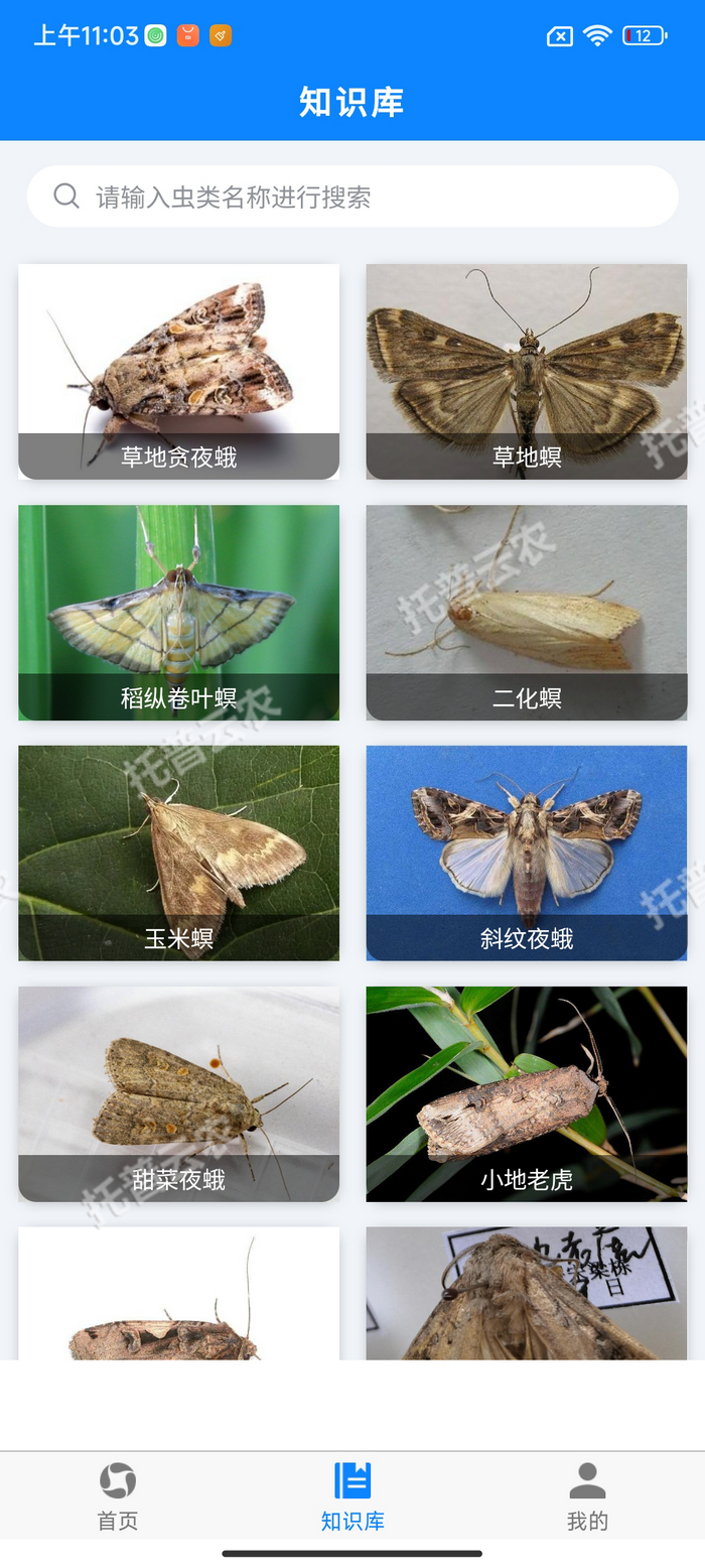 1757557043242113.png 5¡¢º¦³æÖªÊ¶¿â.png