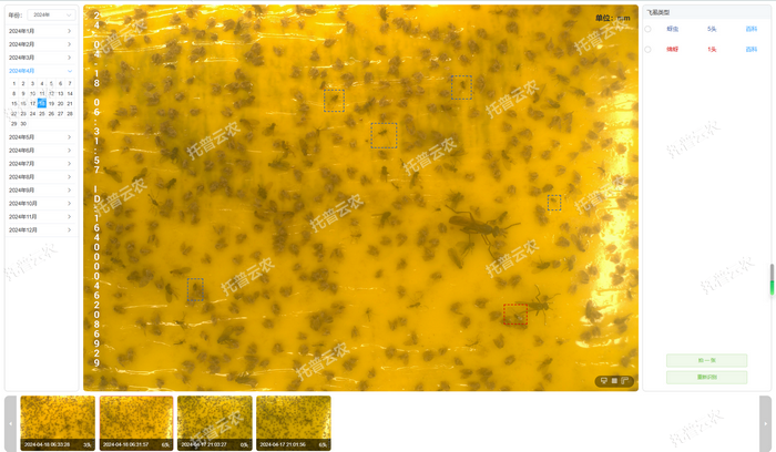 ����ʶ�� �Զ�����.png