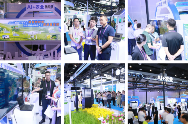 1758617767316273.png ͼƬ2_¸±±¾.png