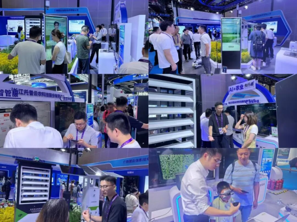 1758618156889801.png ͼƬ9_¸±±¾.png