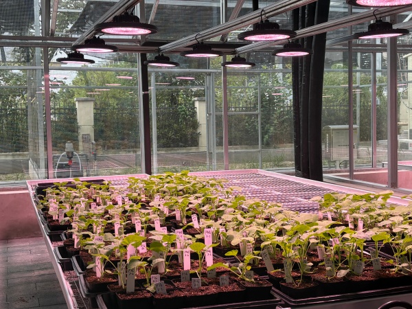 1761901226234565.jpg ͼËÄ_¸±±¾.jpg