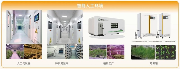 1761901250421808.jpg ͼÎå_¸±±¾.jpg