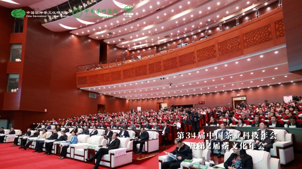 1763437335364139.jpg ͼƬ2_¸±±¾.jpg