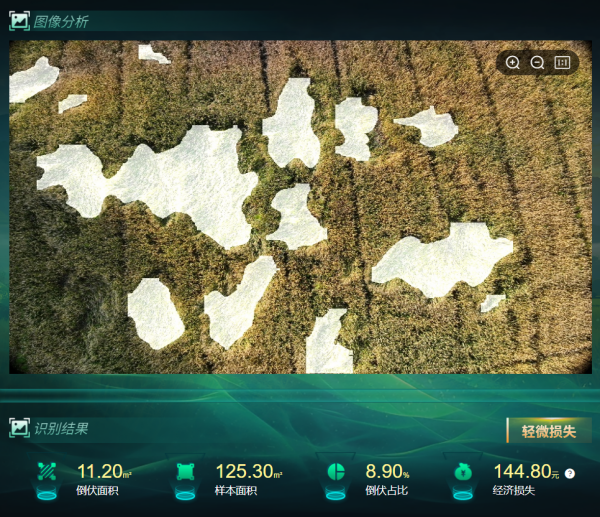 1766458446828715.png 3_¸±±¾.png