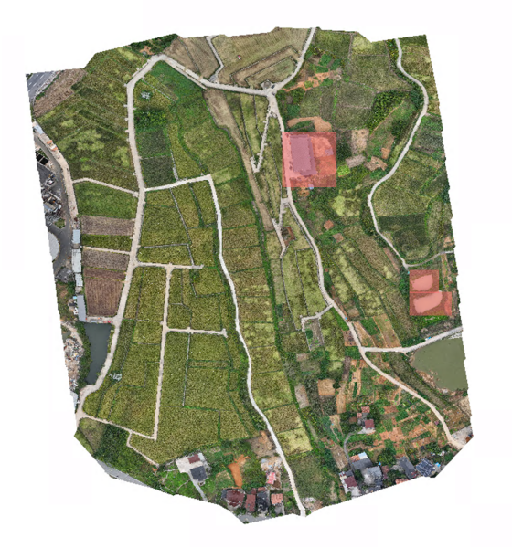 1766458687207694.png 11_¸±±¾.png