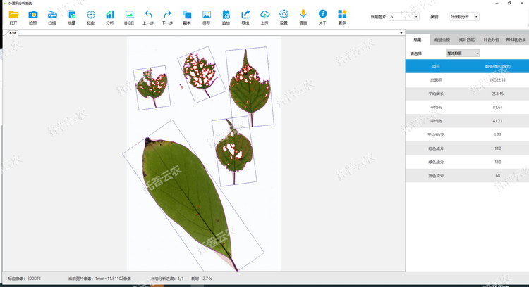 1767678668141151.png ²¡°ß³æËð.png