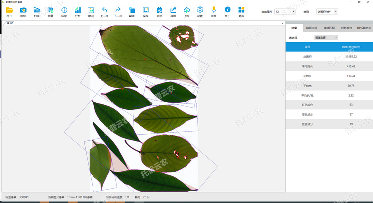 1767678690514357.png Ò¶Ãæ»ýÆÊÎö.png