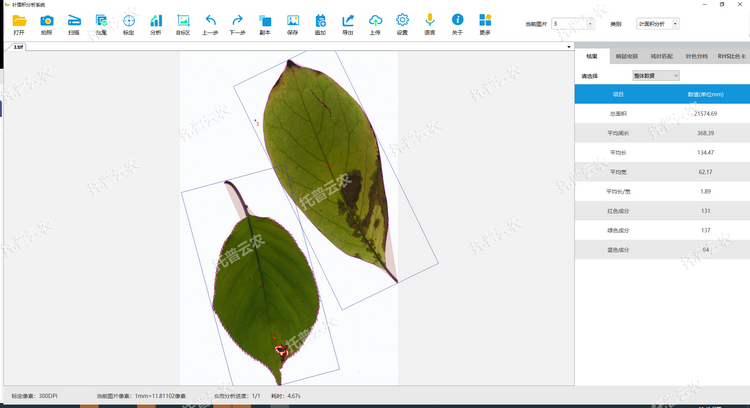 1767678709613309.png Ò¶Ãæ»ýÆÊÎö1.png