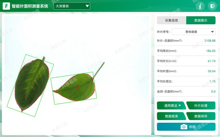 1767679573497313.jpg ҶƬÆÊÎö - ¸±±¾.jpg