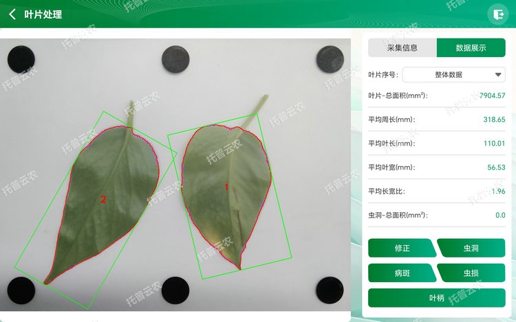 1767679593400786.jpg ÕûÌåÆÊÎö - ¸±±¾.jpg