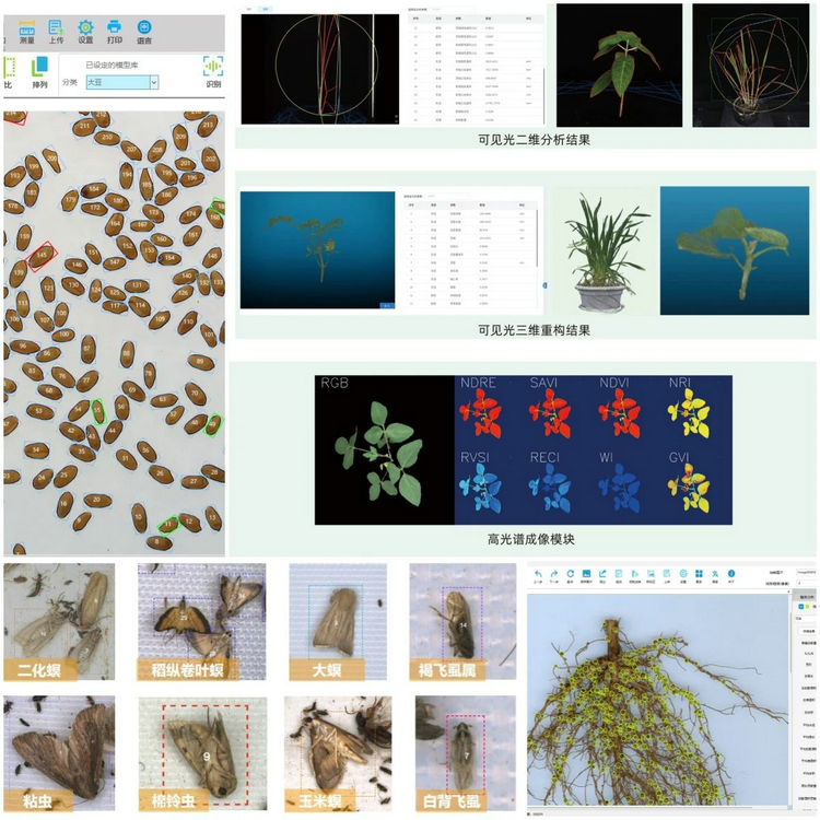 1768267586122155.jpg ÎÊð¢ÊÖÒÕÓ¦ÓÃ.jpg