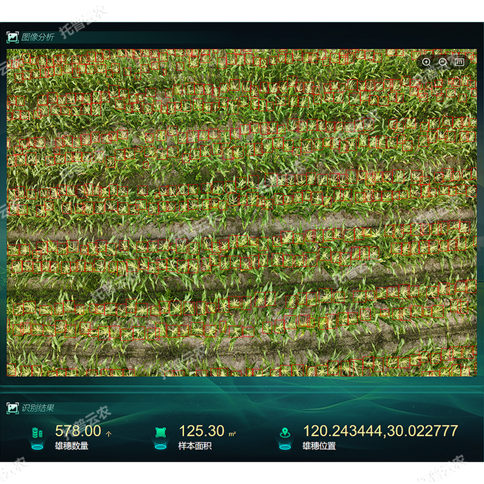 1770695118521607.png 1742798828878485.png