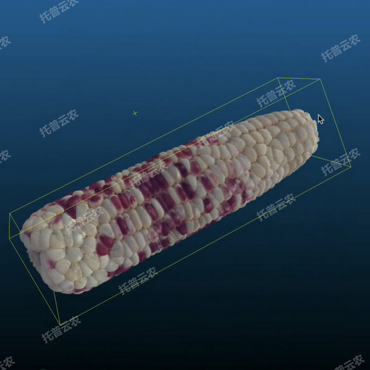 1770773850948038.png Ö÷ͼ4.png