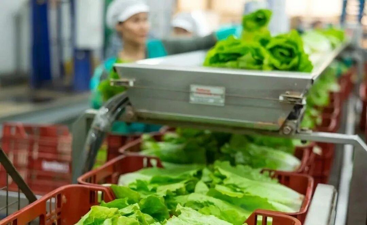 1773986432648193.png ͼƬ2.png