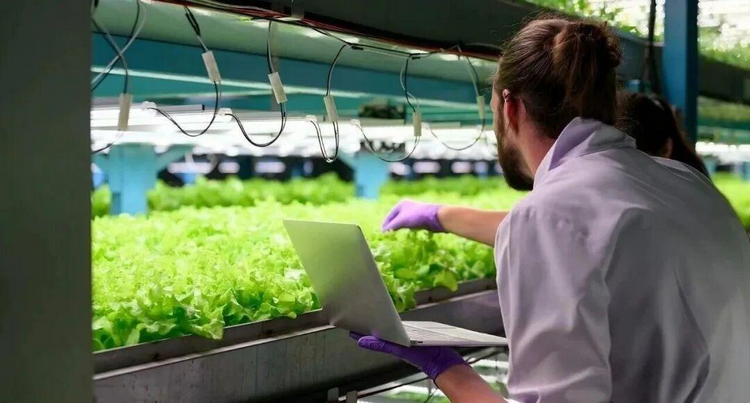 1773986525518992.png ͼƬ5.png