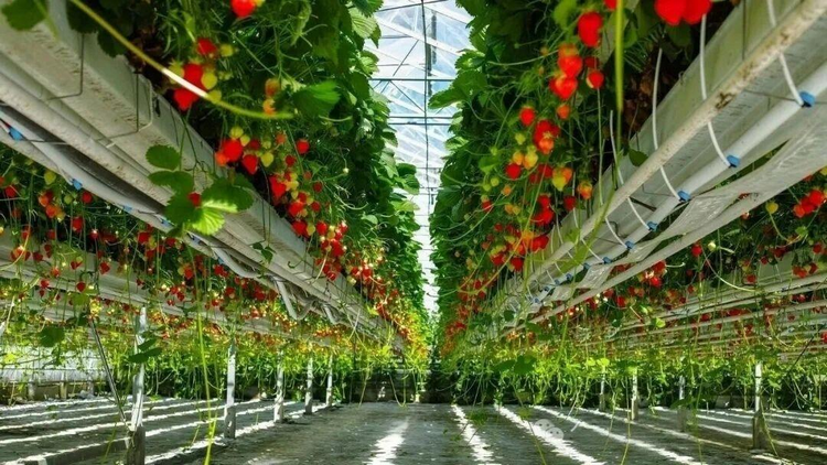 1773986555840823.png ͼƬ6.png