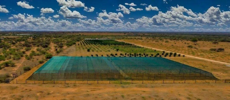 1773986707964407.png ͼƬ7.png