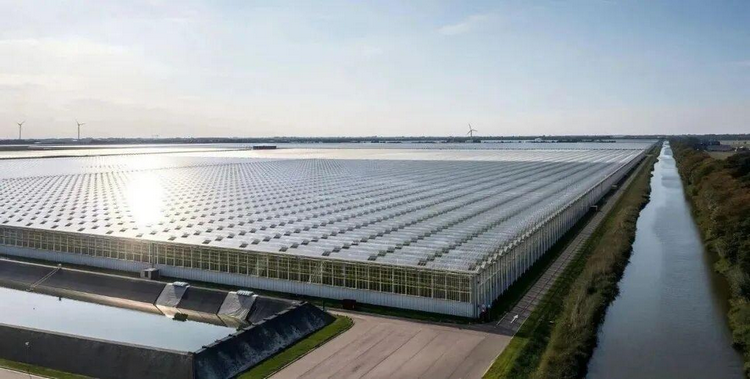 1773986740543429.png ͼƬ8.png